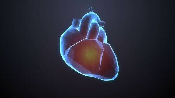 扫描多边形的心人的心血管系统未来的医疗技术