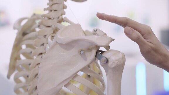 骨科医生的手在室内讲解肩骨骨架模型