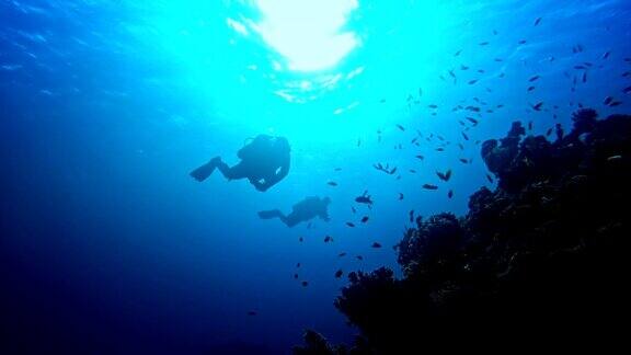 水下生活在宁静的海洋中潜水