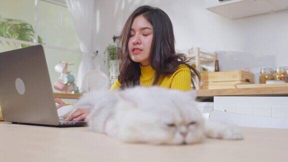 亚洲年轻女子因对猫毛过敏而打喷嚏漂亮漂亮的女孩在家用笔记本电脑工作打喷嚏时用纸巾捂住鼻子因为宠物的皮毛过敏