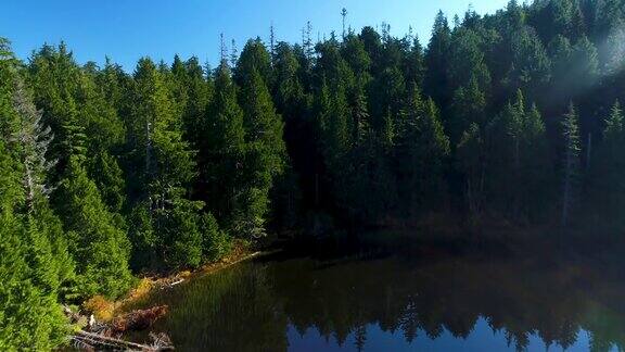 湖泊绿色的自然环境梯级山脉显示森林栖息地无人机视图