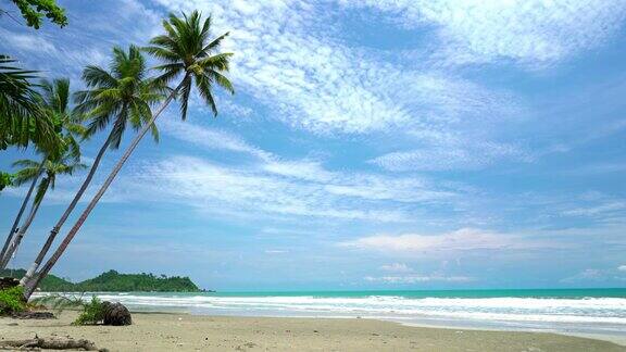沙滩上的棕榈树热带岛屿