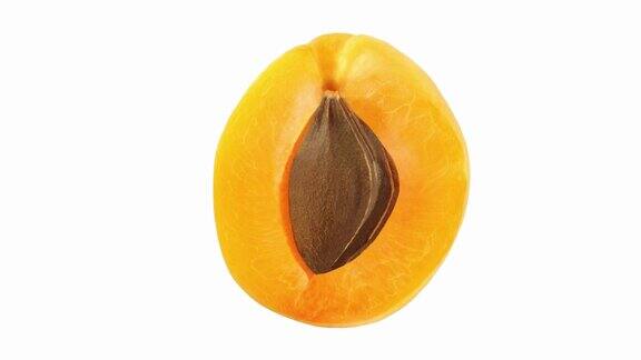 杏果切成两半配上果核在白色背景上旋转俯视图