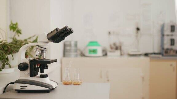 食品实验室用显微镜和带移液管的试管中的谷物带有copyspace的实验室设备