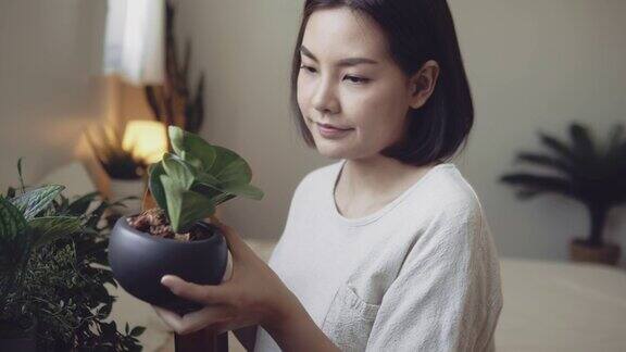 一名年轻女子正在整理仙人掌花盆