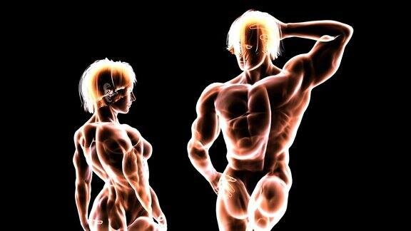肌肉系统的美丽健身夫妇