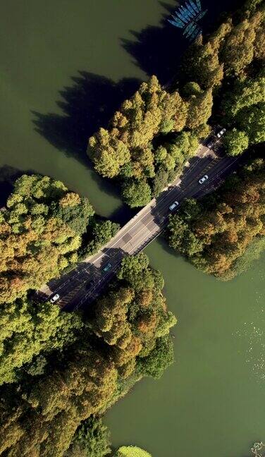 通过湖泊和树木区域的道路鸟瞰图