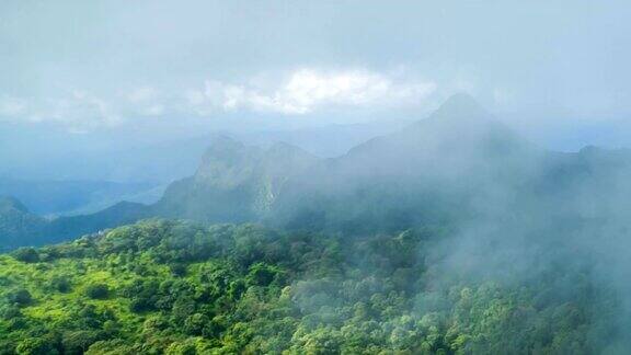 雾和云在雨林树山顶