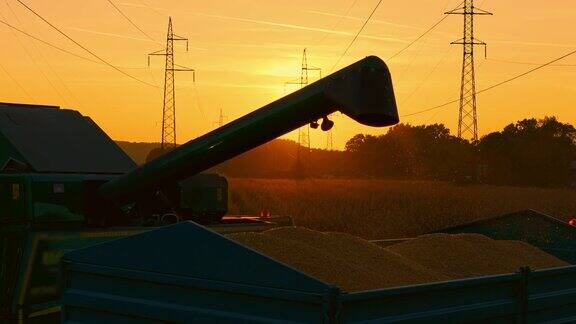 SLOMO联合收割机在橙色日落天空下卸载玉米田地上有高耸的电力塔