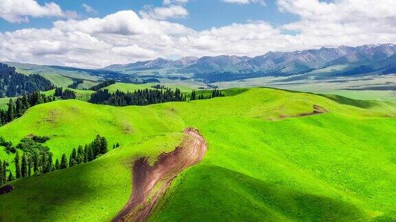 空中拍摄的新疆那拉提草原上的绿草和山地景观