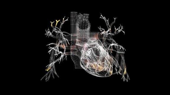 3D心脏扫描心脏扫描接口HUD心脏分析【医学】解剖学概念用于标题文本演示3d动画60FPS