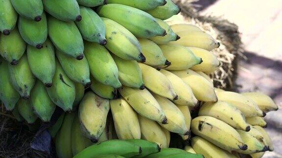 绿香蕉、生香蕉和黄香蕉切成4千块卖到市场