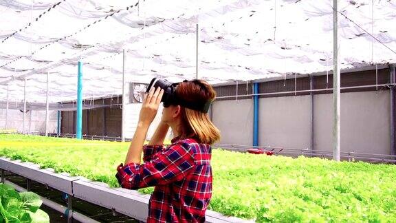 亚洲女农民使用VR眼镜探索水平农场种植的蔬菜未来的蔬菜农场没有转基因的新鲜清洁产品