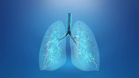 肺和气管袢的医学背景