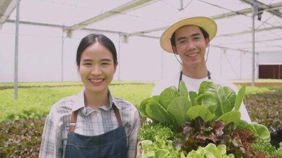 在温室里种植绿色沙拉和蔬菜园丁们精心照料有机蔬菜农夫拿着泡菜和蔬菜微笑着看着镜头