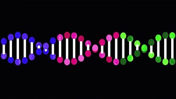 黑色背景上的遗传DNA结构