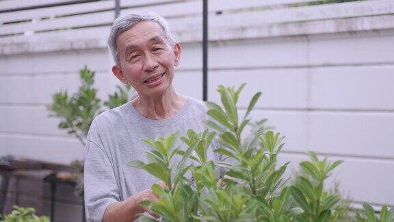 快乐的退休老人花时间在家种植植物一位亚洲老人在家里做园艺