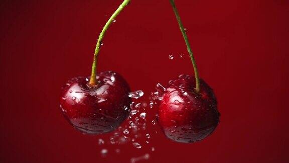 茎上的甜樱桃以慢动作溅起水滴