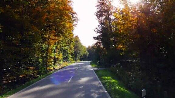在阳光明媚的日子里驾车穿过秋天的森林