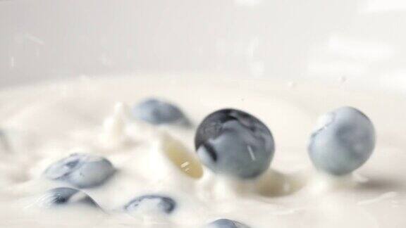 蓝莓掉进牛奶碗里