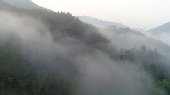 空中拍摄的雾在森林山坡桂林中国