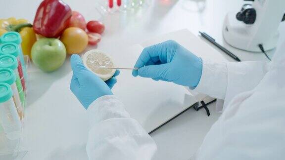 科学家在实验室检查食物中的化学残留物控制专家检查水果、蔬菜的质量实验室危害ROHs发现违禁物质污染显微镜微生物学家