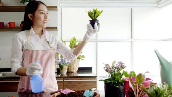 一名年轻女子正在自家柜台上的花盆里种植