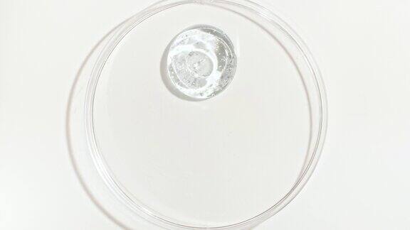 透明化妆品凝胶液滴入有皮氏培养皿微距拍摄的化妆品精华液透明尿酸皮肤护理概念