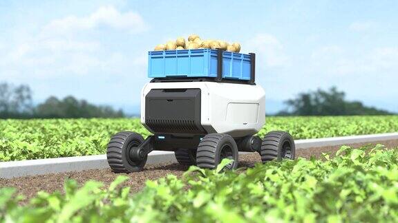 农业机器人在智能农场工作AGV机器人在土豆工厂运输土豆