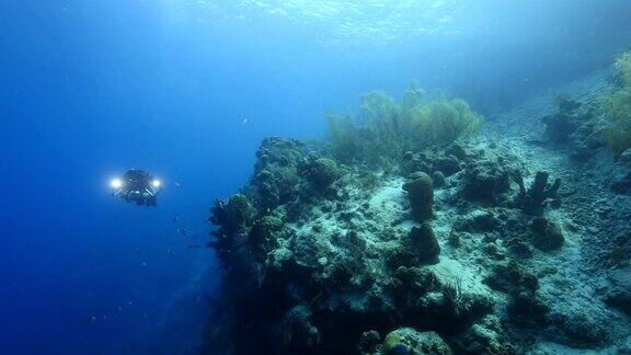 珊瑚礁海景在加勒比海库拉索岛附近的潜水地点总监湾