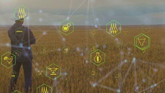 农业技术进步示意图图标以麦田为背景农民站在那里