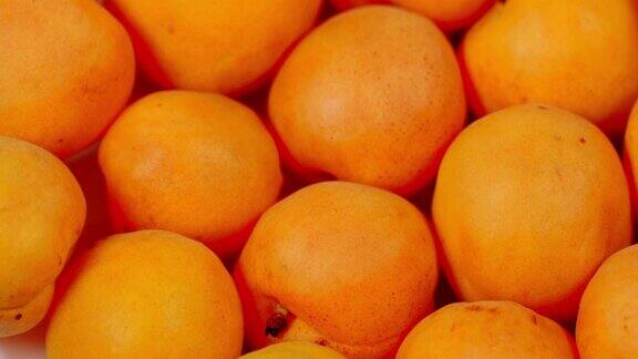 成熟的杏子孤立在白色背景上杏果实的背景