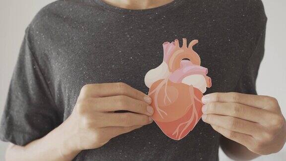 手握心脏解剖器官供体心脏心脏癌症医院保健服务理念