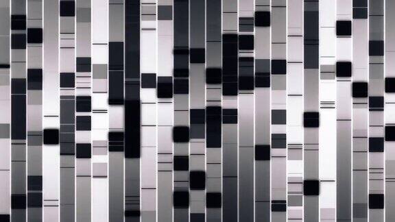 DNA分析