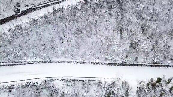 鸟瞰图弯曲的山路上山穿过松树和其他树木覆盖在冬天的雪山在四川西岭