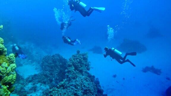 水下生活在珊瑚礁附近潜水