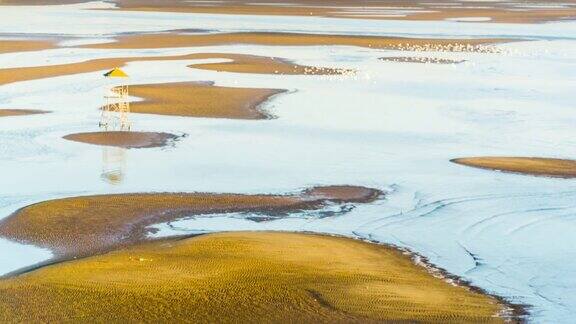 冬天这些鸟在中国秦皇岛的北戴河浅滩休息