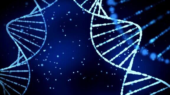 DNA结构(循环)