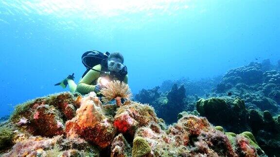 珊瑚礁海景在加勒比海附近的库拉索岛与潜水员