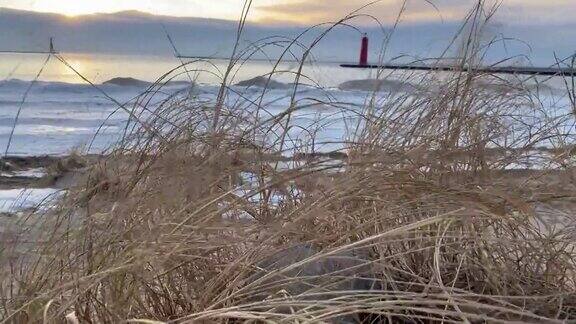 寒冷的一天湖边的沙滩上芦苇在微风中吹着