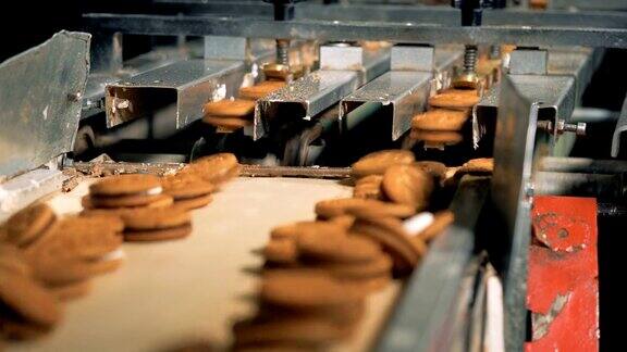 工厂生产双层饼干