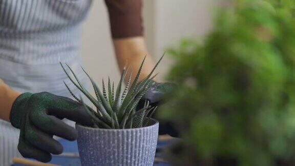 近亚洲妇女用铲子挖土盆栽植物