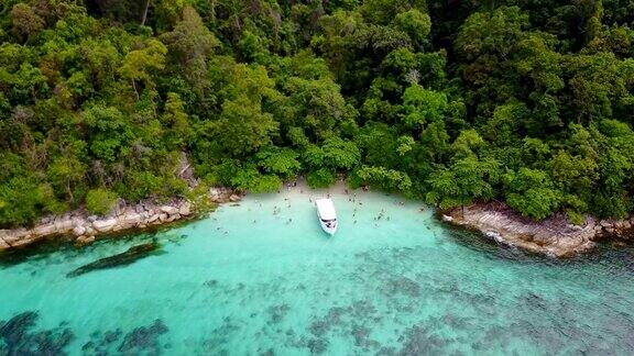 李浦岛的杨岛潜水景点鸟瞰图天堂与快艇和完美的水晶清澈碧绿的海水泰国南部萨顿省的纯白沙滩