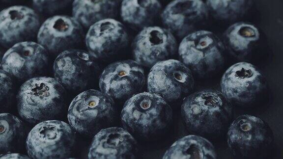 成熟的蓝莓果实特写黑色的蓝莓果实黑莓果实