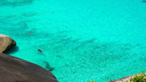 人们在斯米兰岛斯米兰海滩清澈的海水上游泳