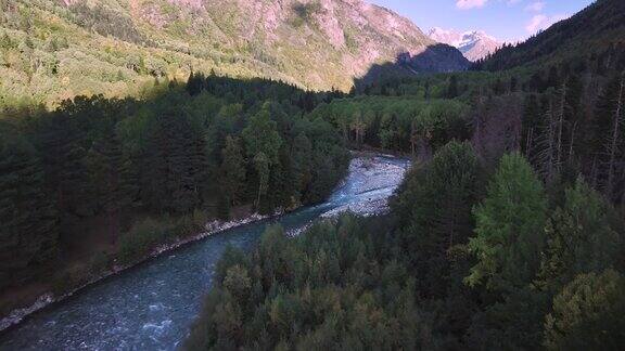 山峡在阴凉处山中岩石河中针叶林之间有针叶树