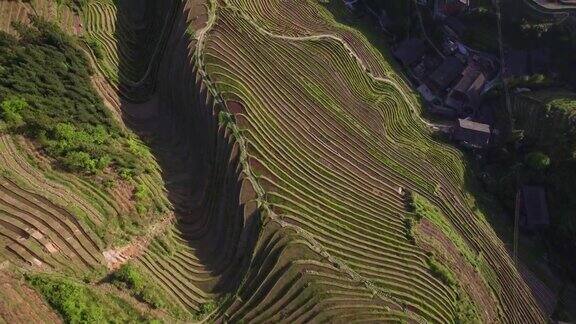 中国桂林龙胜的龙脊梯田