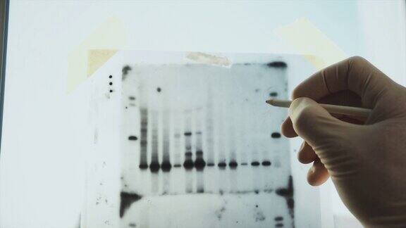 遗传分子实验室:分离病毒变种的DNA研究