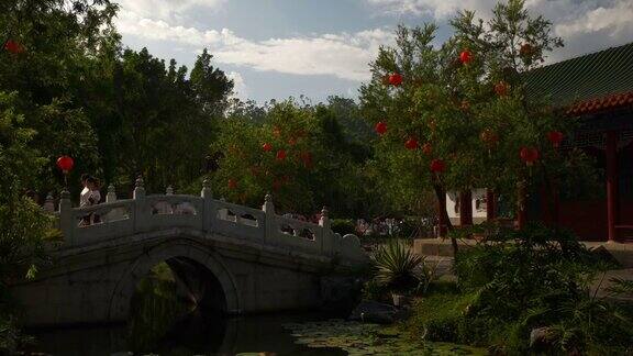 阳光明媚的珠海公园金鱼池大桥慢镜头全景4k中国