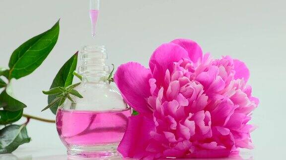 芳香疗法牡丹花精油精华有机产品香水从化妆吸液器滴到装有香水的玻璃瓶里